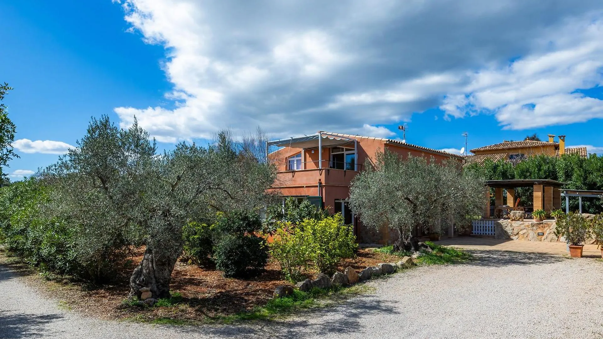 Ses Oliveres En Port Verd Son Servera