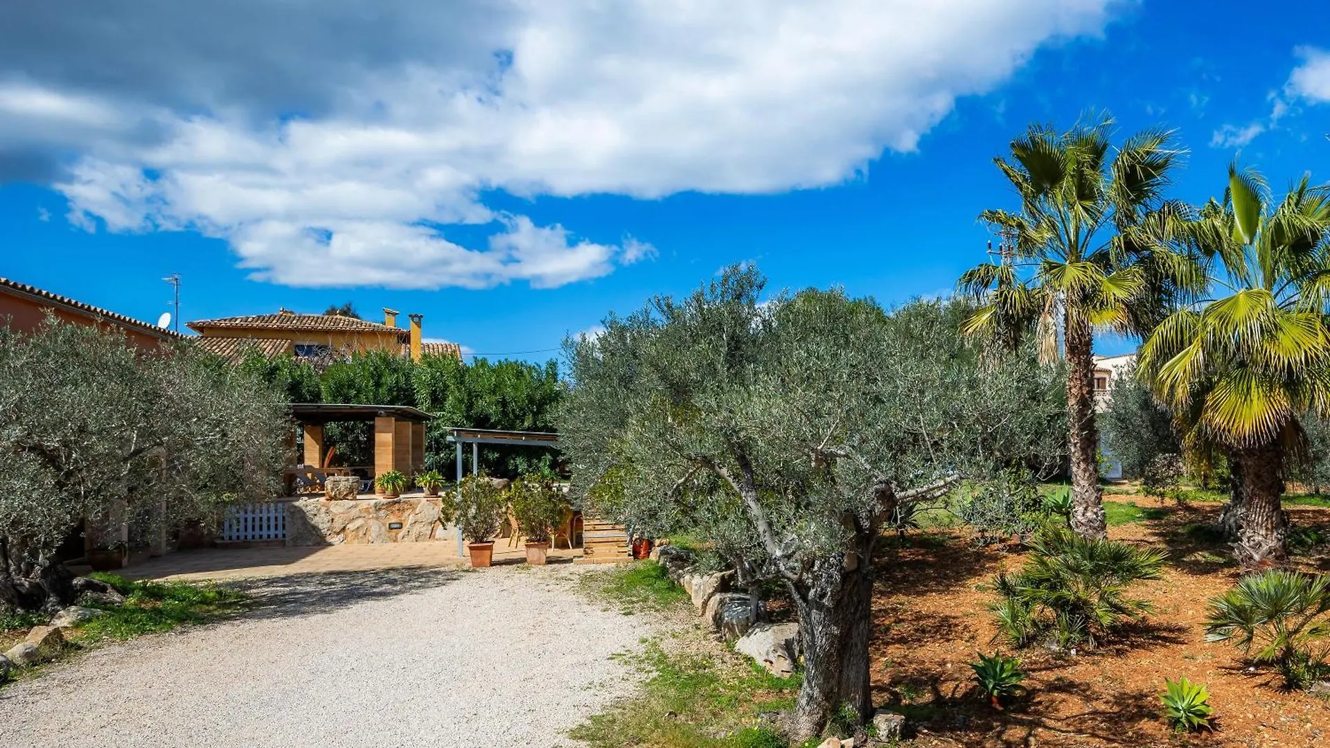 Ses Oliveres En Port Verd Son Servera  0*, Son Servera (Mallorca)